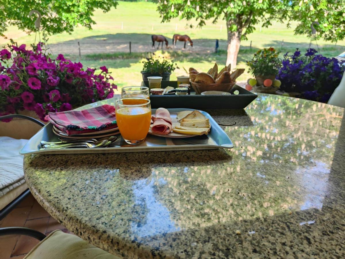 Domaine Bellavigne Gites Et Spa Forcalquier Ngoại thất bức ảnh